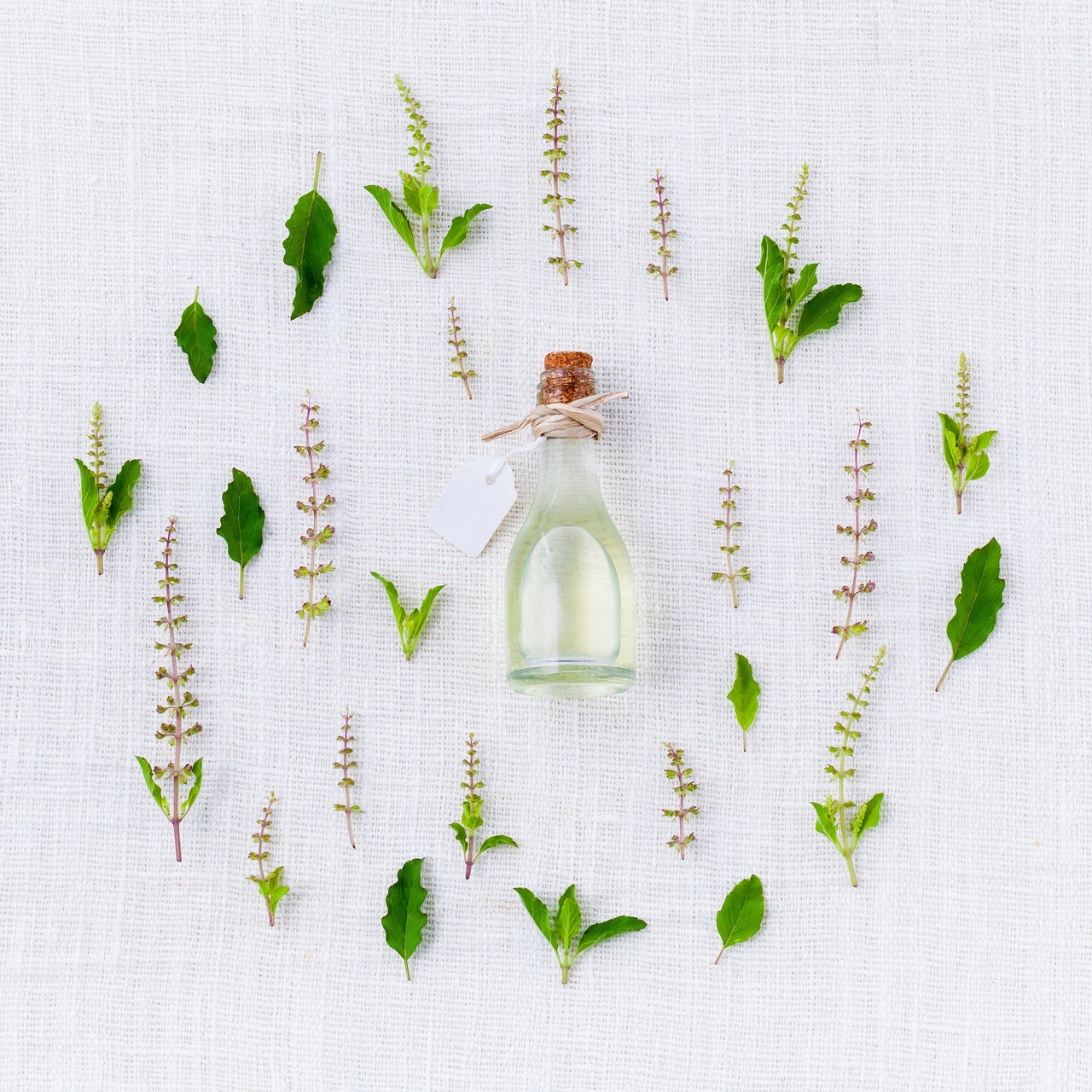 What Is Lemon Verbena Essential Oil? The Complete Guide